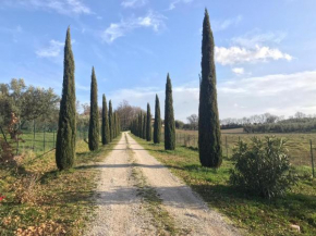 La lampada di Atena